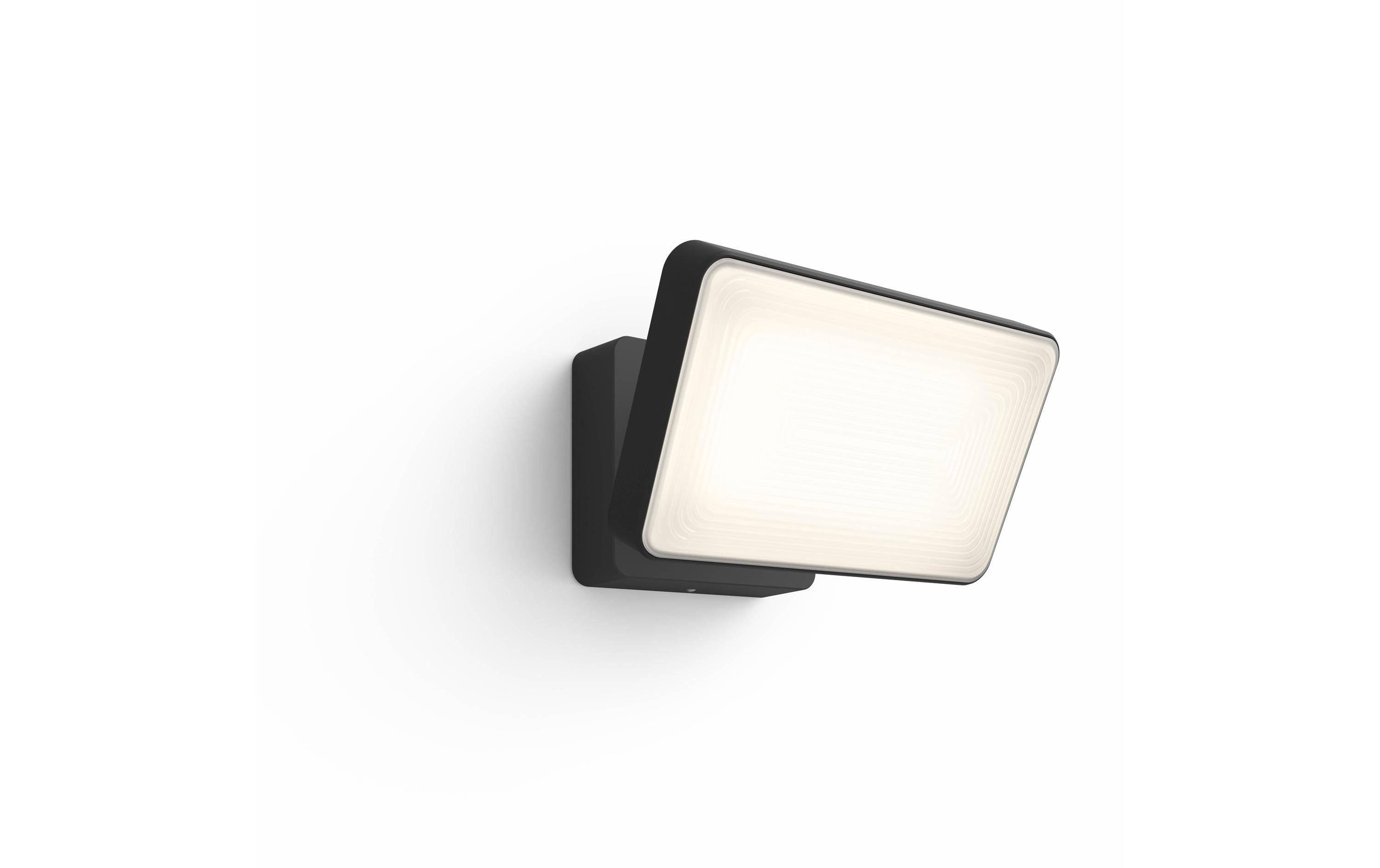 Philips Hue White Welcome Flutlicht schwarz