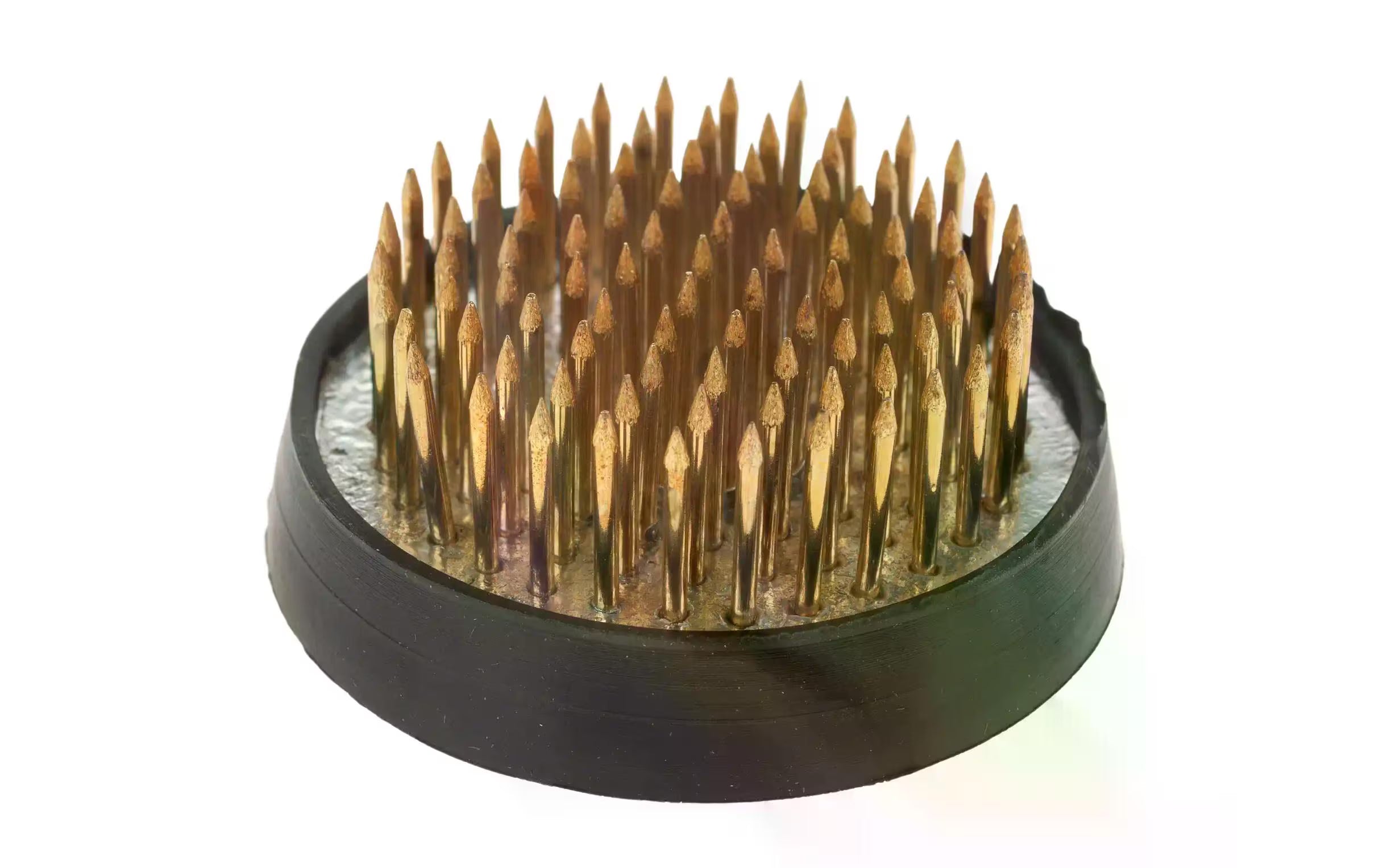 Opiflor Steckigel, Schwarz-Gold