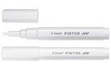 Pilot Pintor Fein