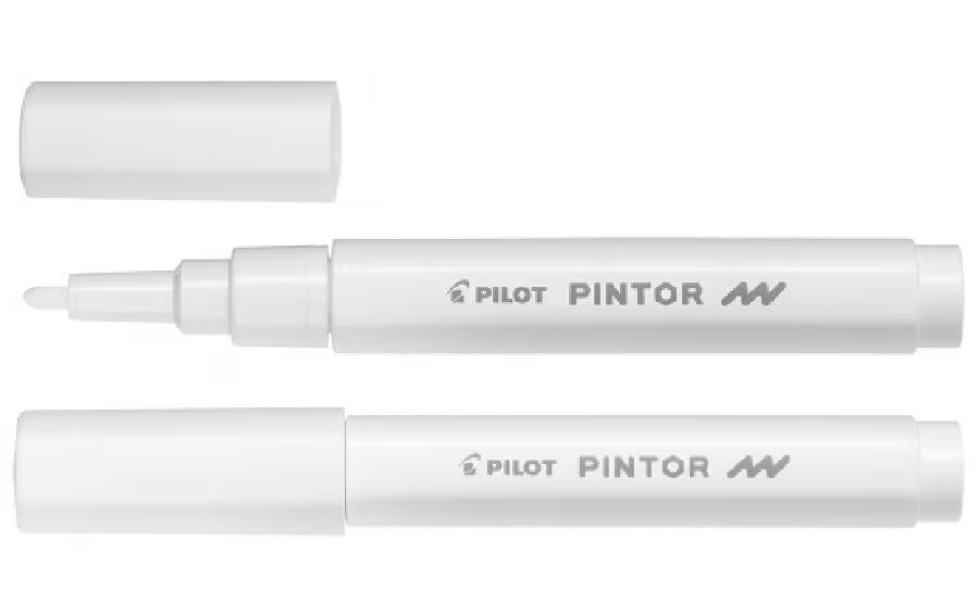 Pilot Pintor Fein