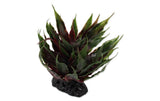 Repti Planet Sukulent Agave green 18cm