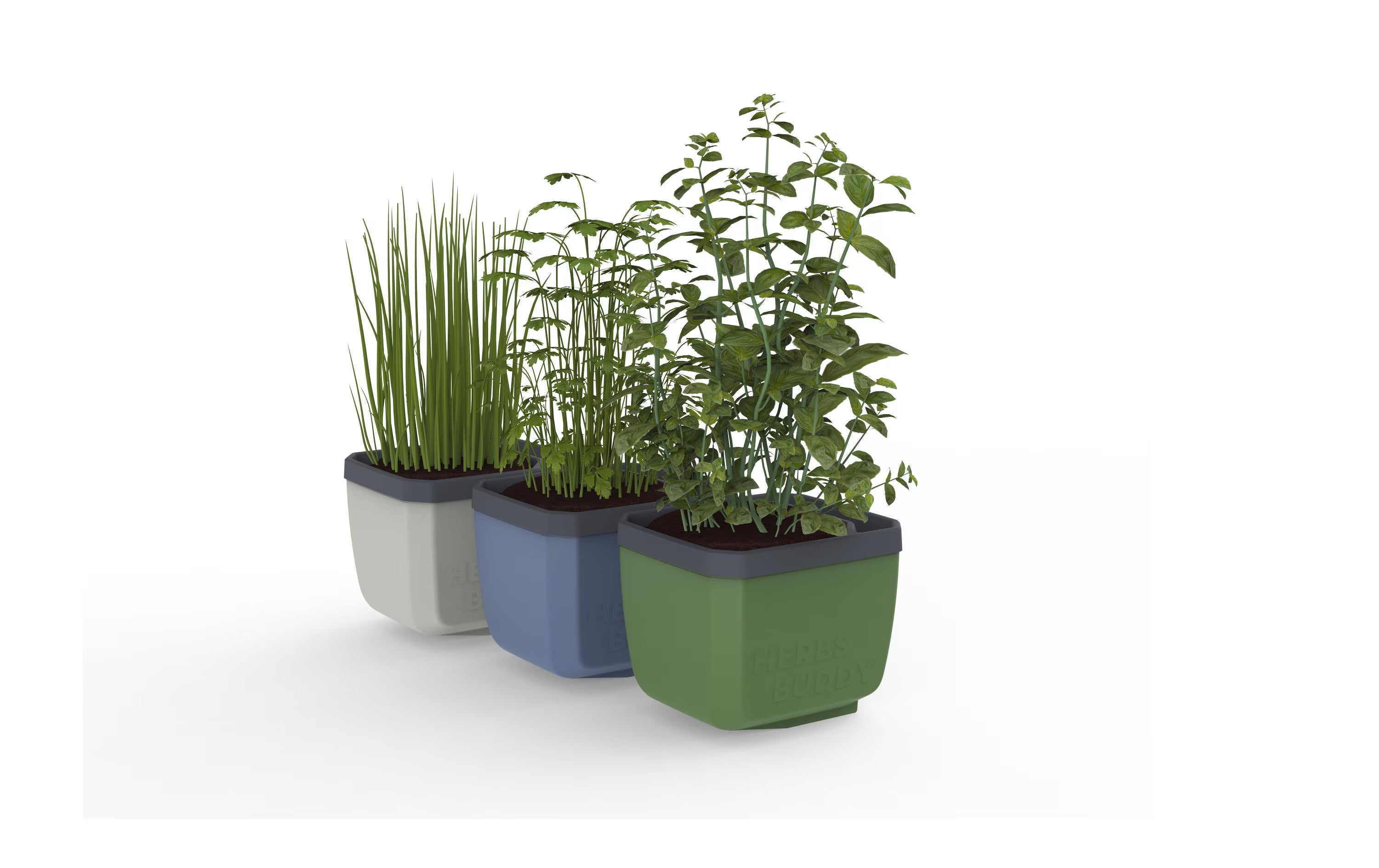 Gusta Garden HERBS BUDDY Kräutertopf 3er