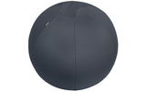 Leitz Sitzball Ergo Cosy