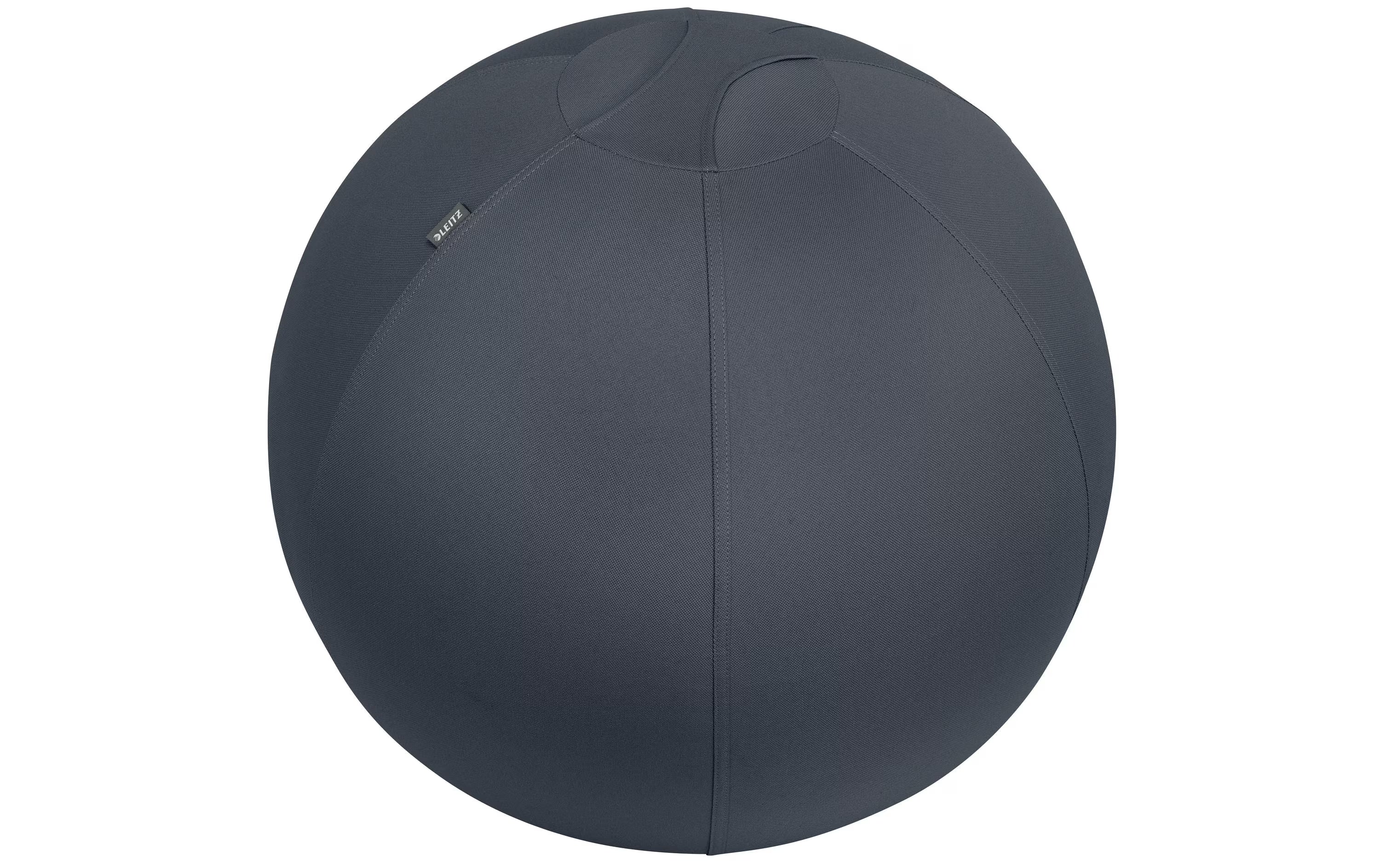 Leitz Sitzball Ergo Cosy