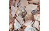 Ambiance Glänzende Muschelplatten Creme