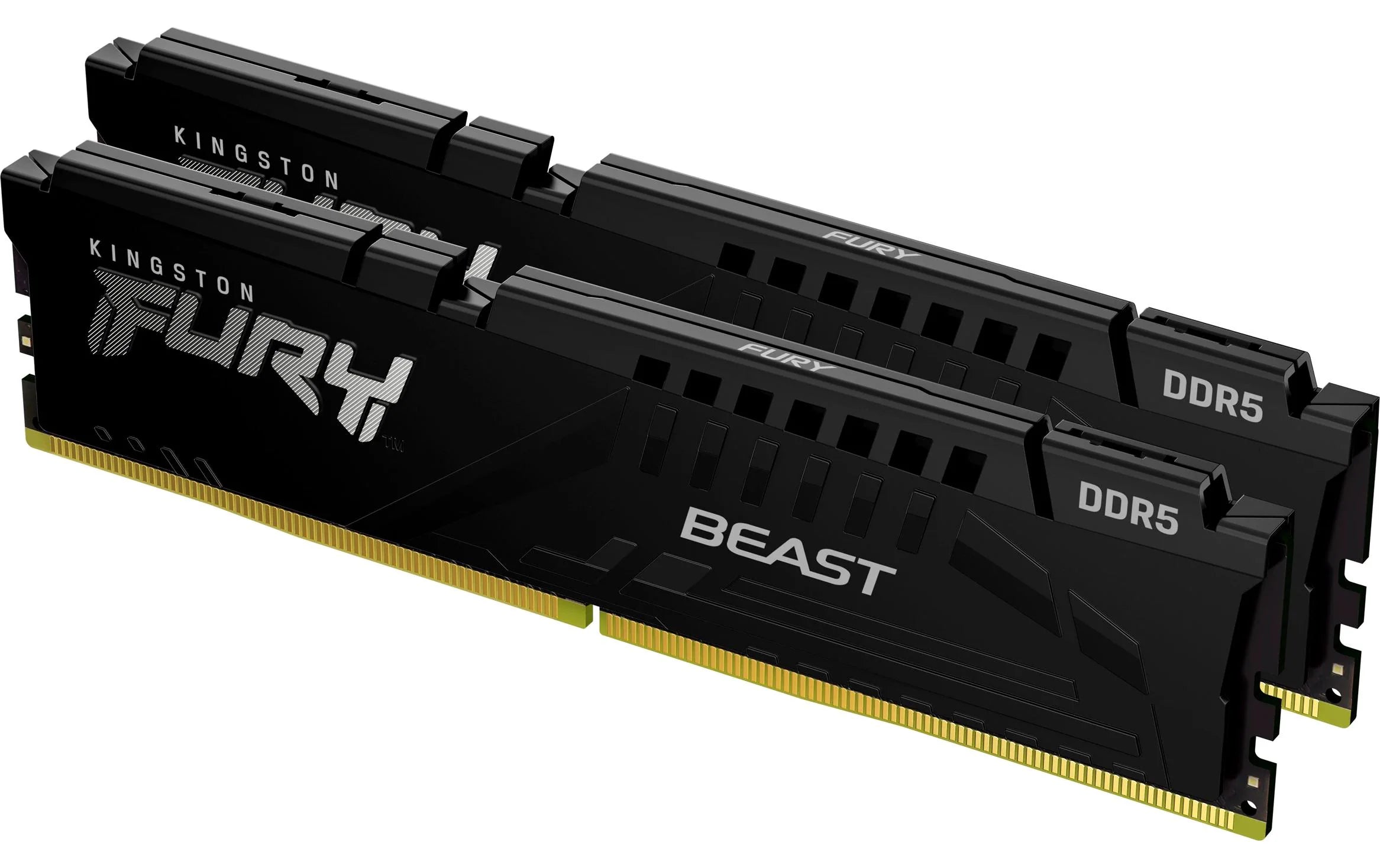 FURY Beast DDR5 64GB 2-Kit 5200MT/s EXPO
