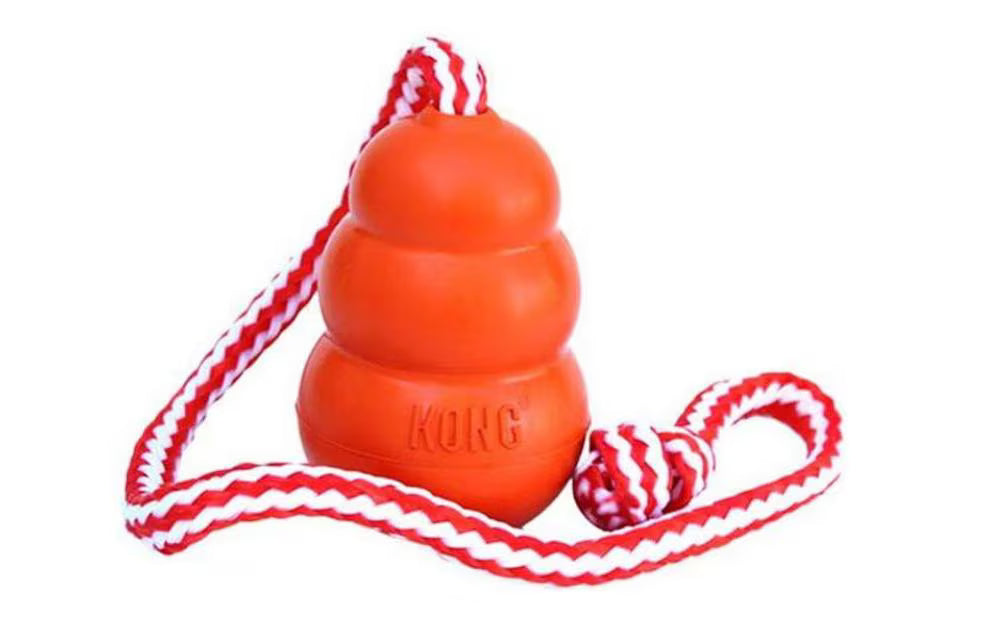 Kong Hunde-Spielzeug Kong Aqua