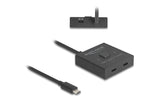 Delock USB 10GbpsType-C Switch 2 auf 1