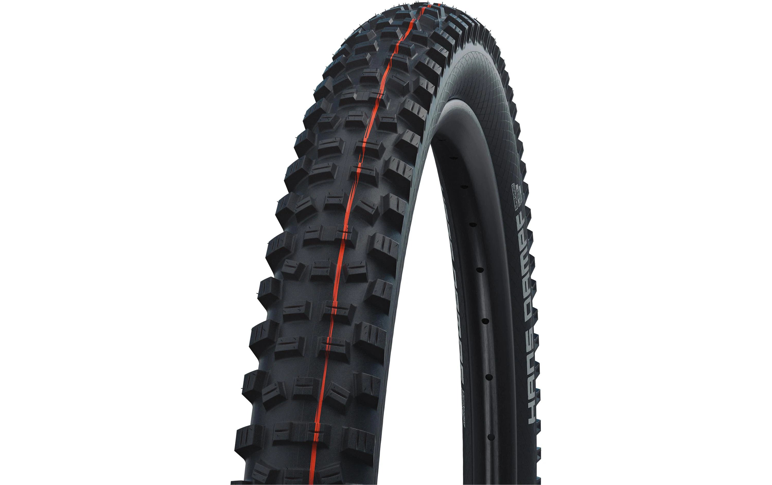 Schwalbe Pneu Hans Dampf