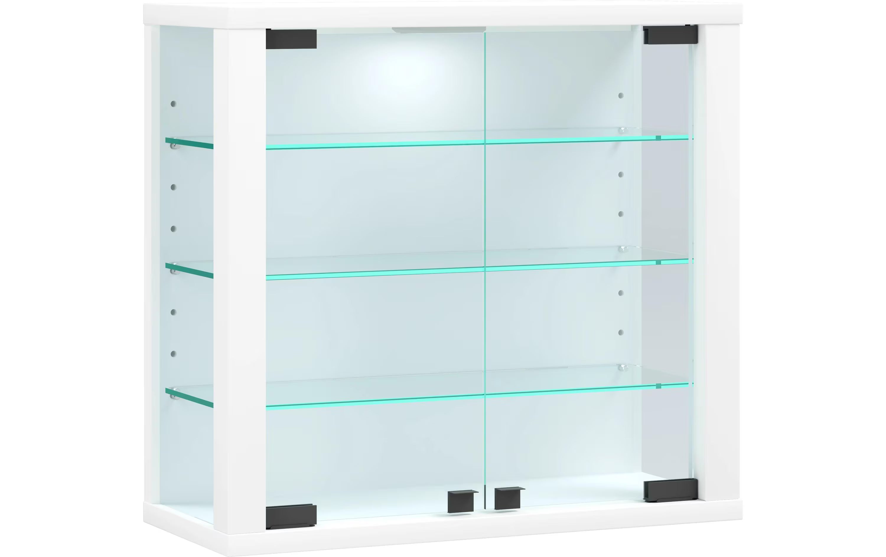 VCM Wandvitrine Vitrosa S