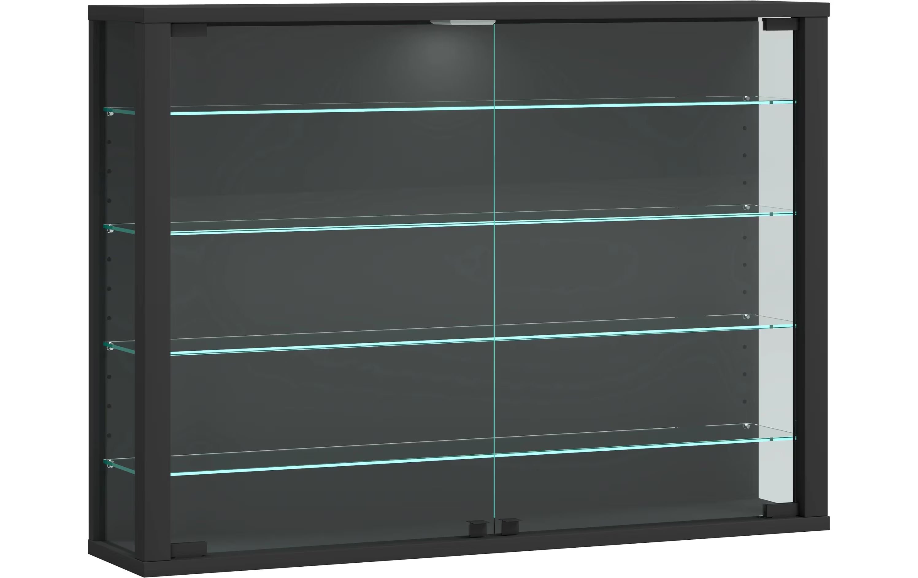 VCM Wandvitrine Vitrosa L