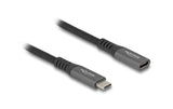 Delock, USB 3.1-Verlängerungskabel 10Gbps P