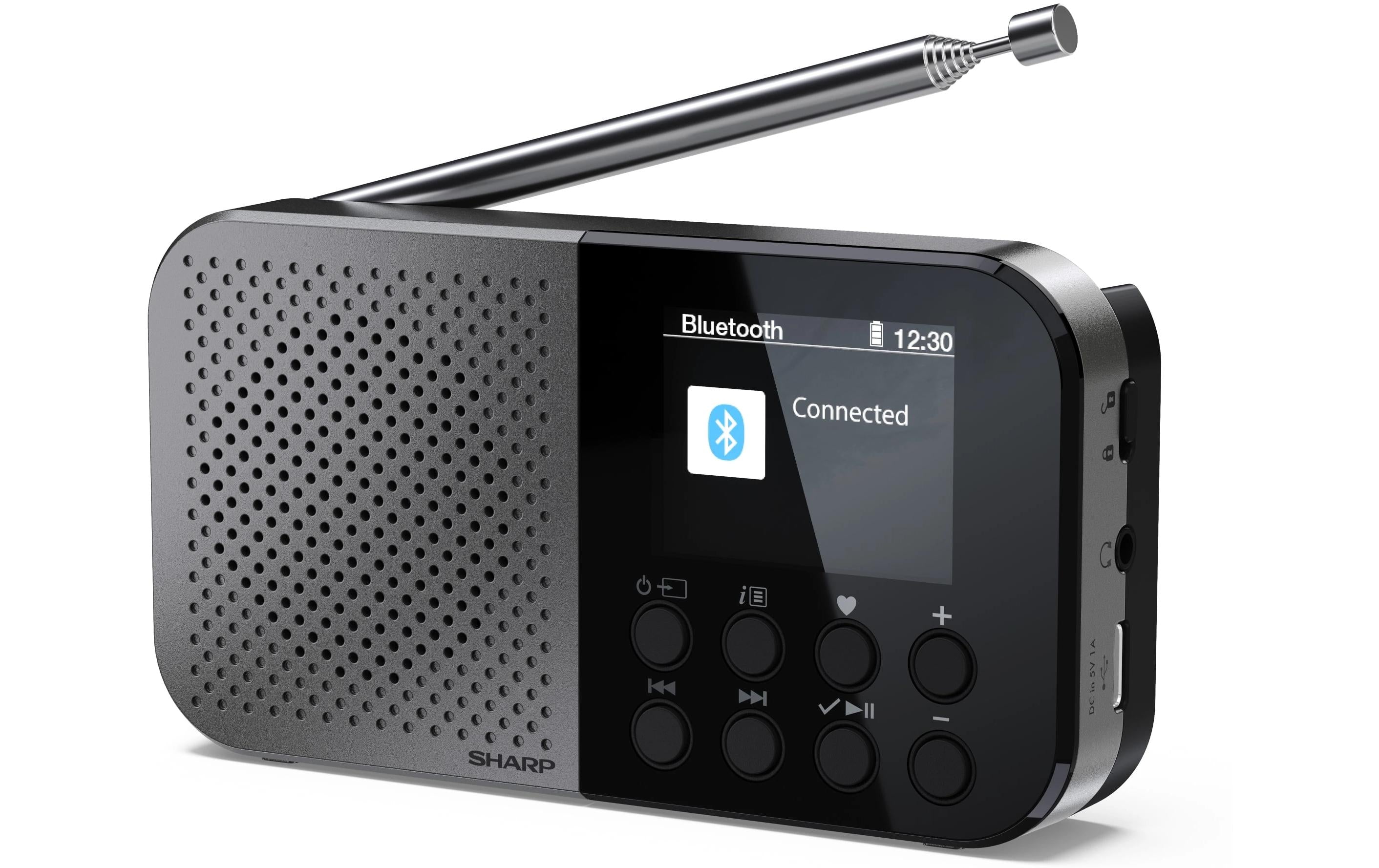 Sharp portable radio DR-P520 GR