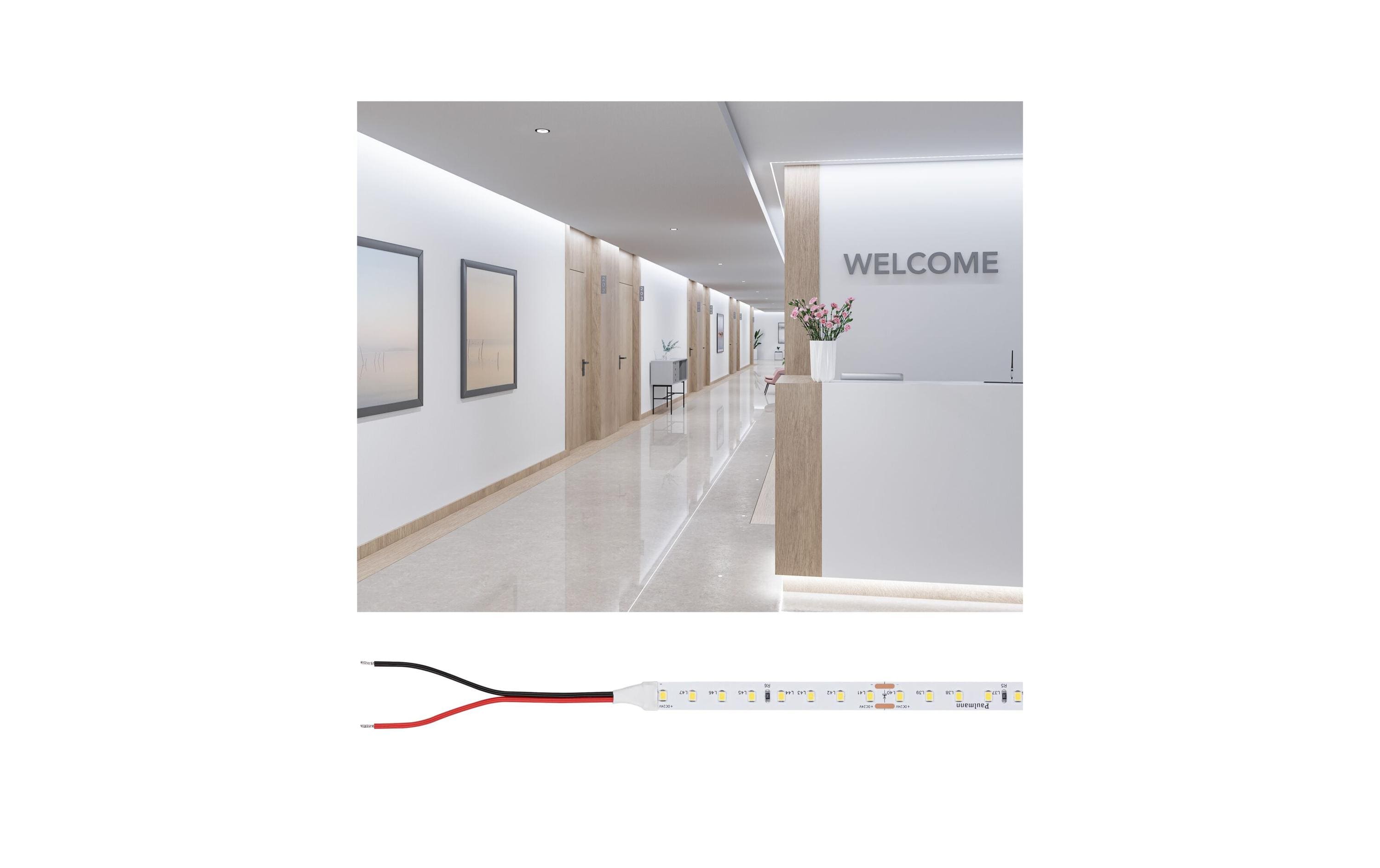 Paulmann LED Stripes Gold ProLED 10m 6500K
