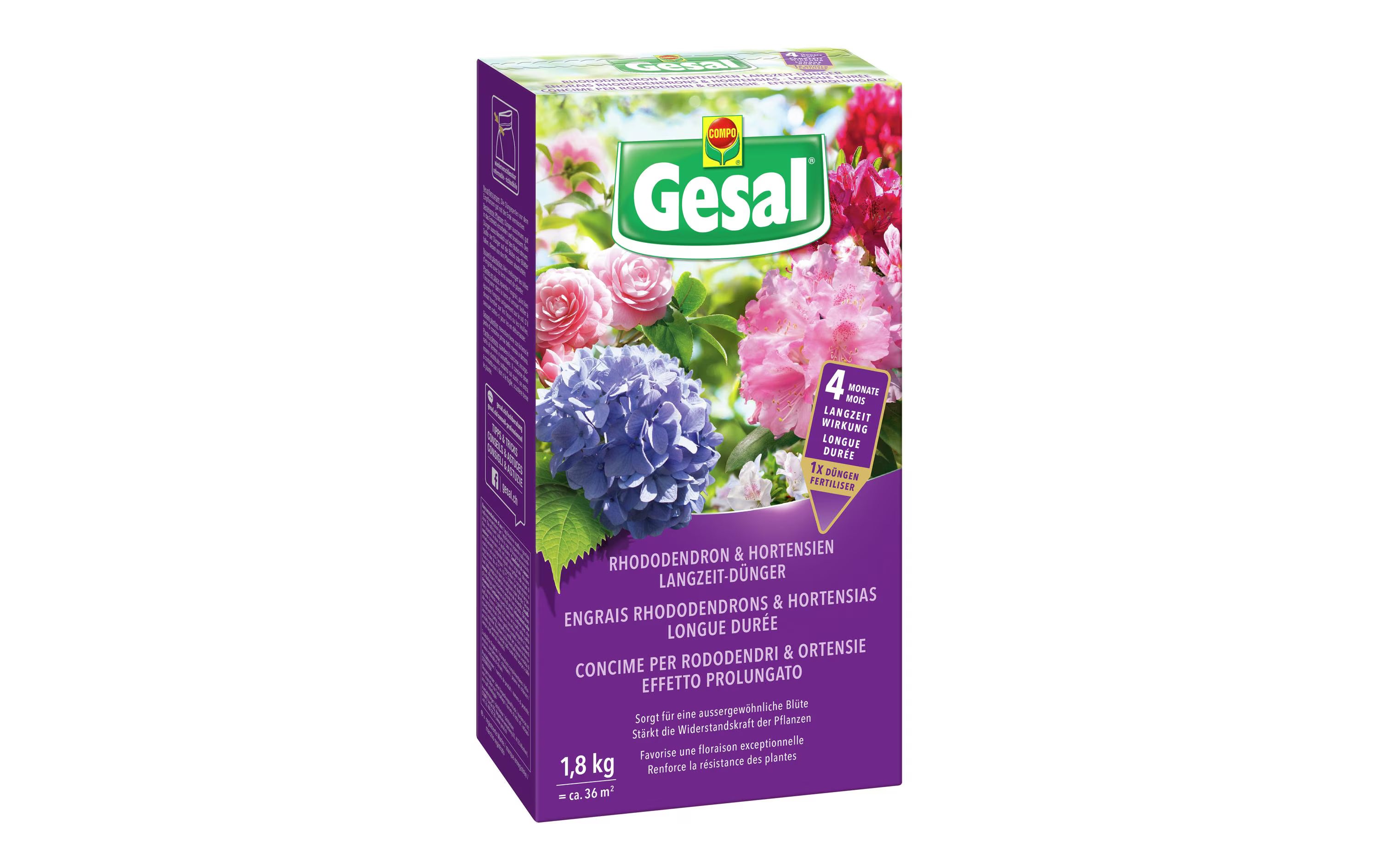 Gesal Rhododendron und Hortensien