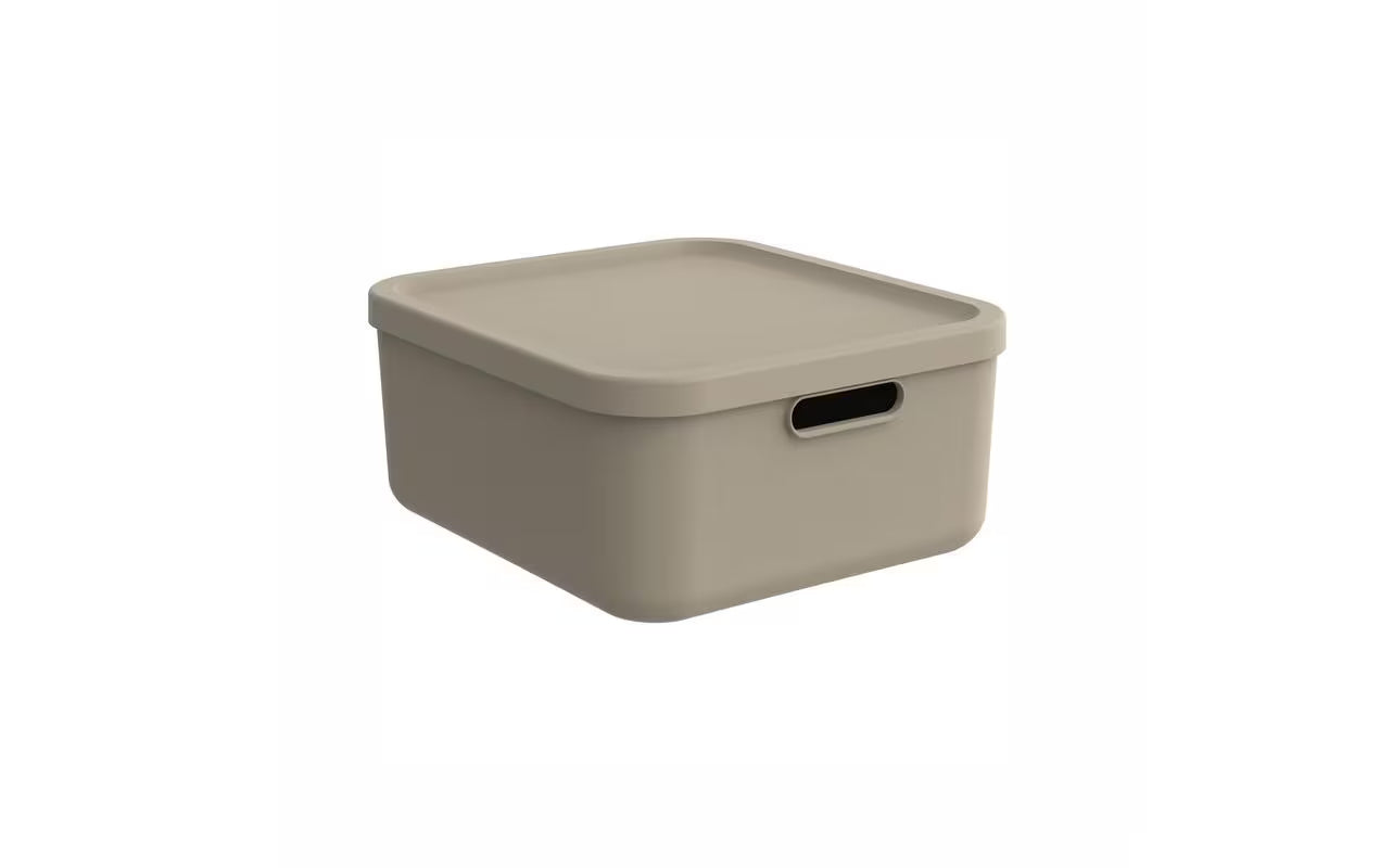 Rotho Spielzeugbox Multi Box M KAYO