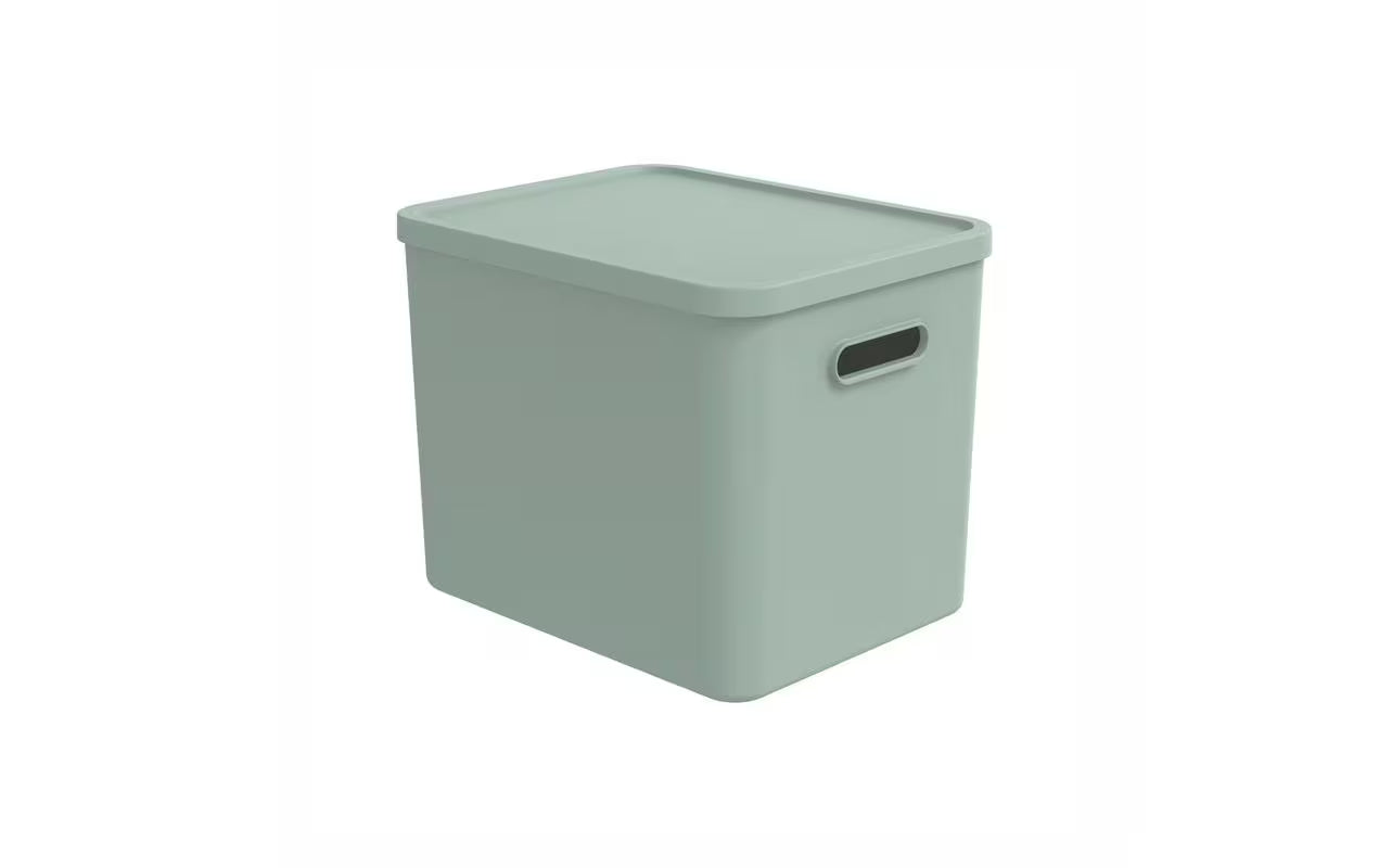 Rotho Spielzeugbox Multi box L KAYO