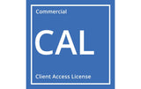 Windows Server Standard Device CAL