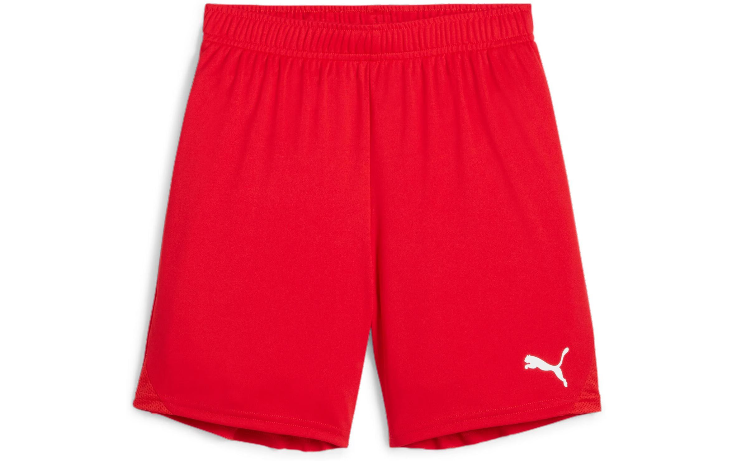 PUMA Shorts teamGOAL Jr