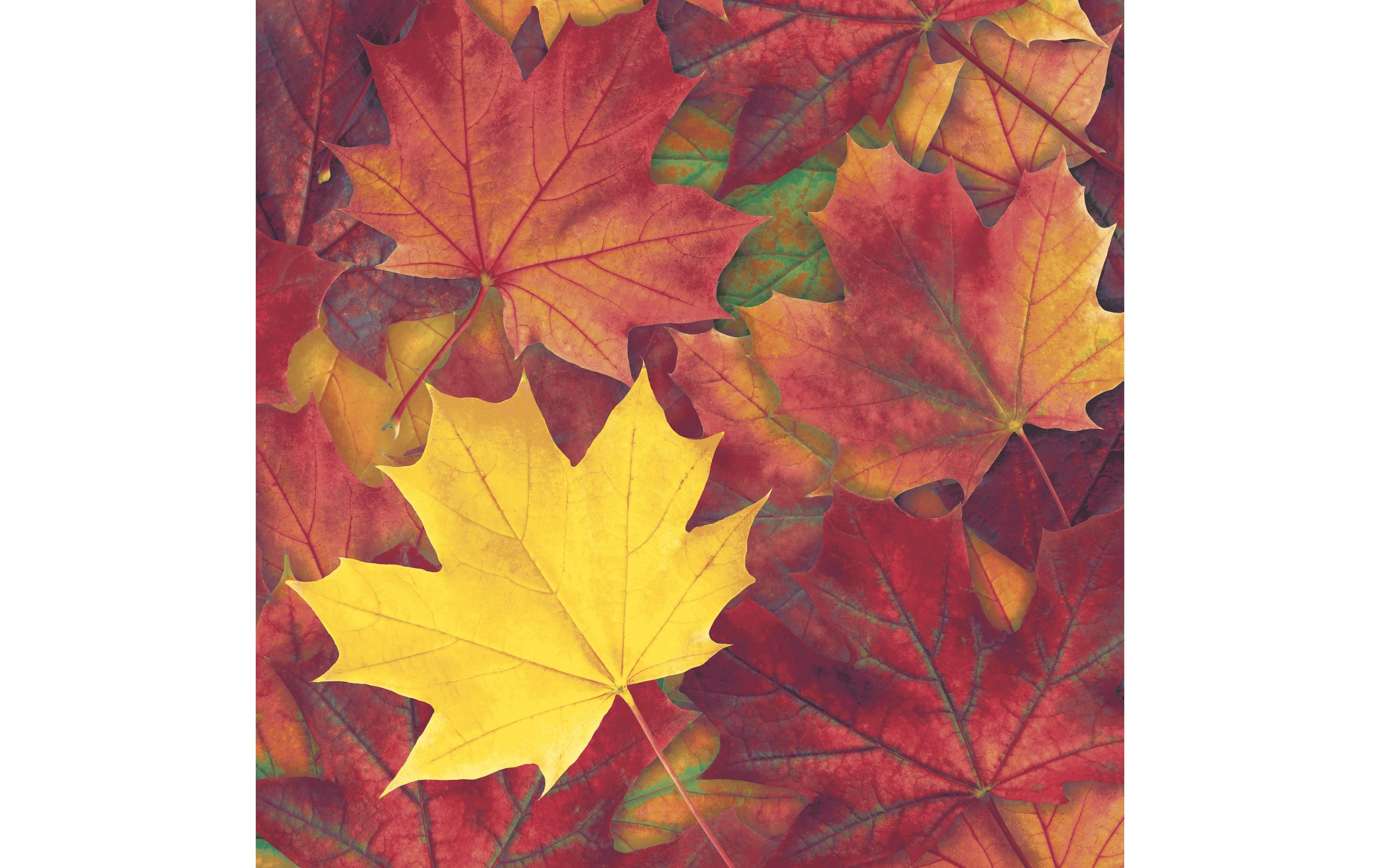 Paper + Design Servietten Herbstblätter