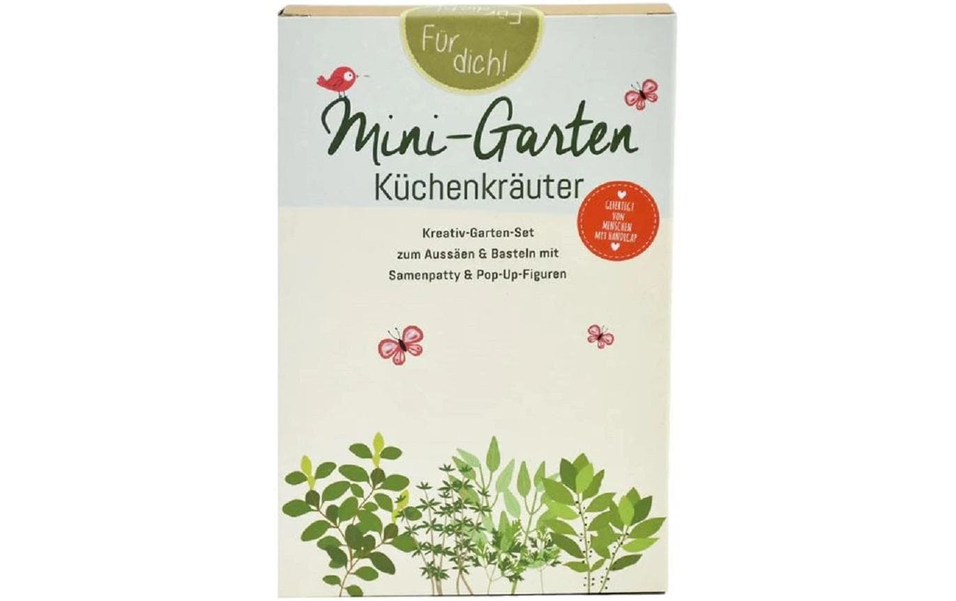 Wunderle Mini-Garten Küchenkräuter