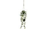 Star Trading künstliche Pflanze Laos 60cm
