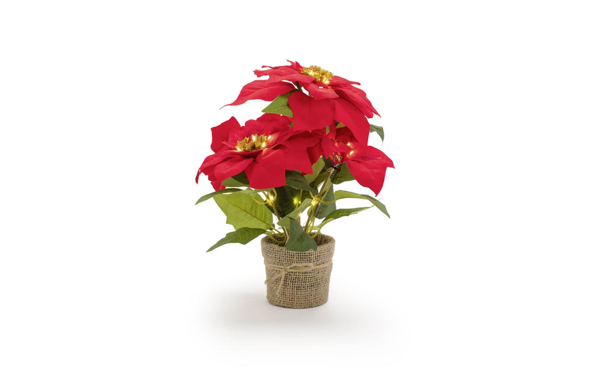 STT LED Poinsettia 33