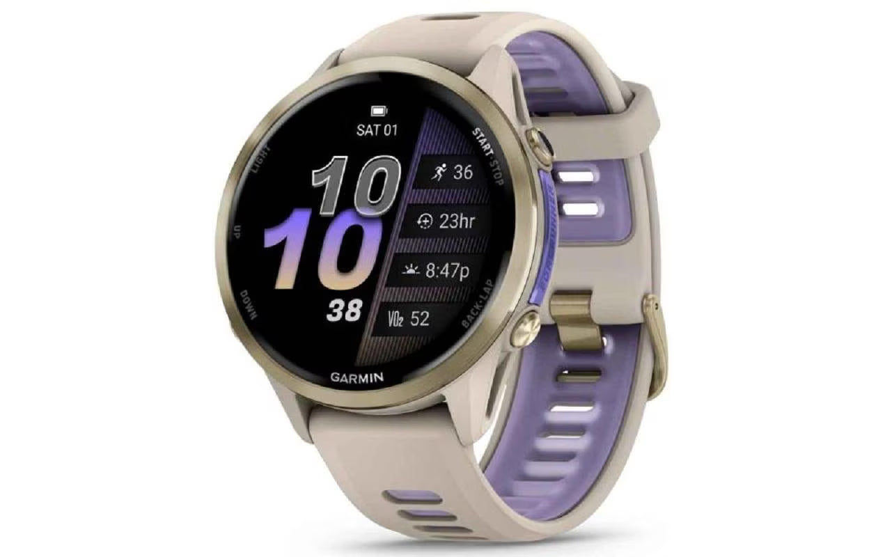GARMIN, Forerunner 970 Gray/Indigo