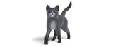 Kater