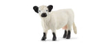 Schleich Galloway Rind
