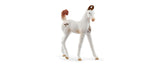 Schleich Marwari Fohlen