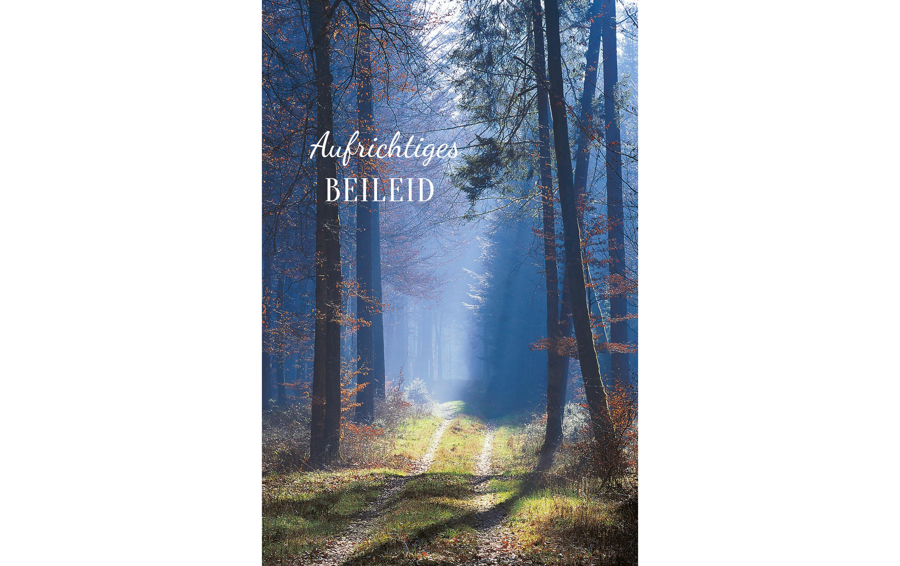 ABC Trauerkarte Wald aufrichtiges Beileid