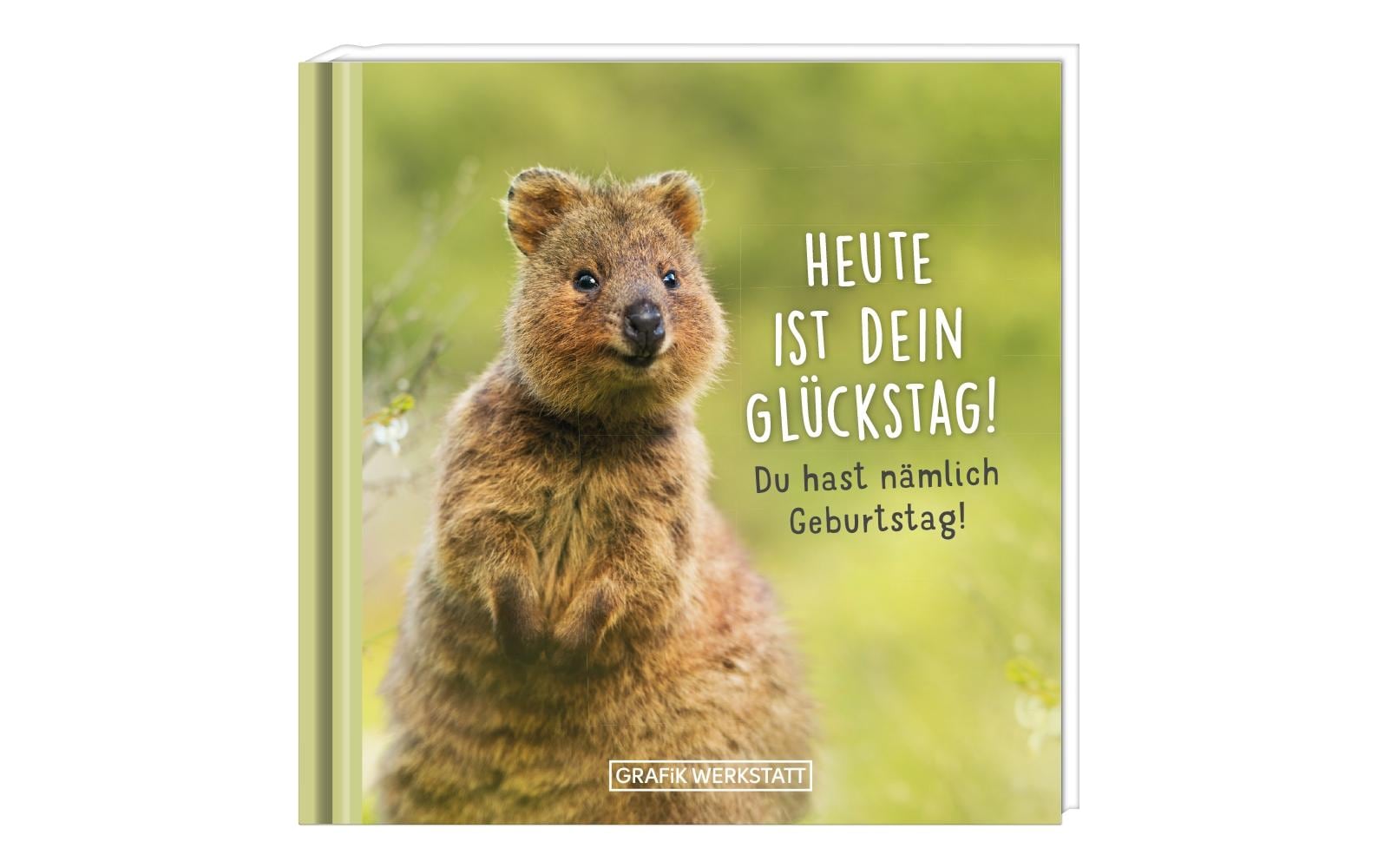 Grafik Werkstatt Minibuch