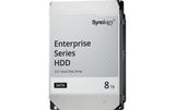 Synology Harddisk HAT5320