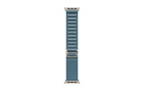 Apple AlpineLoop Natural Titanium Finish
