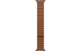 Apple Magnetic Link