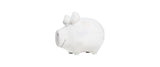 Sparschwein weiss