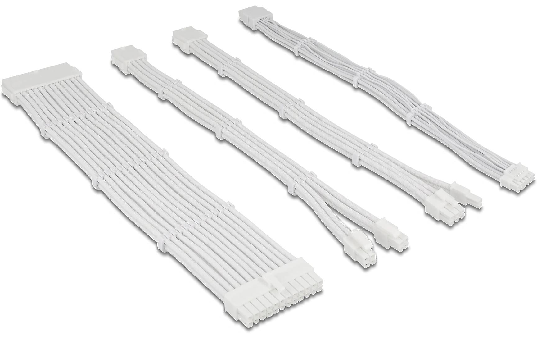 Delock PSU Verlängerungskabel Set 84542