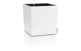 CUBE Color 40