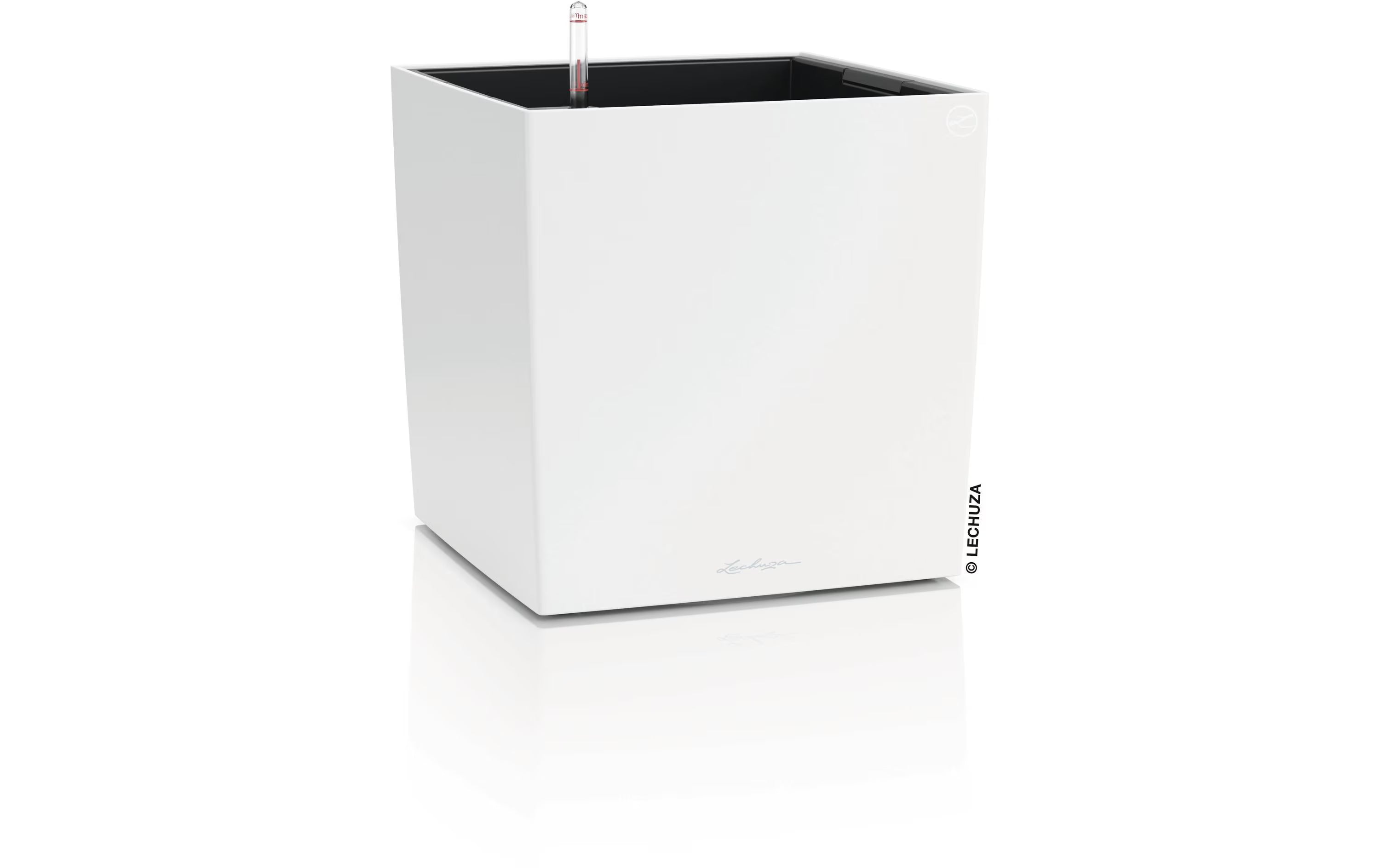 CUBE Color 40