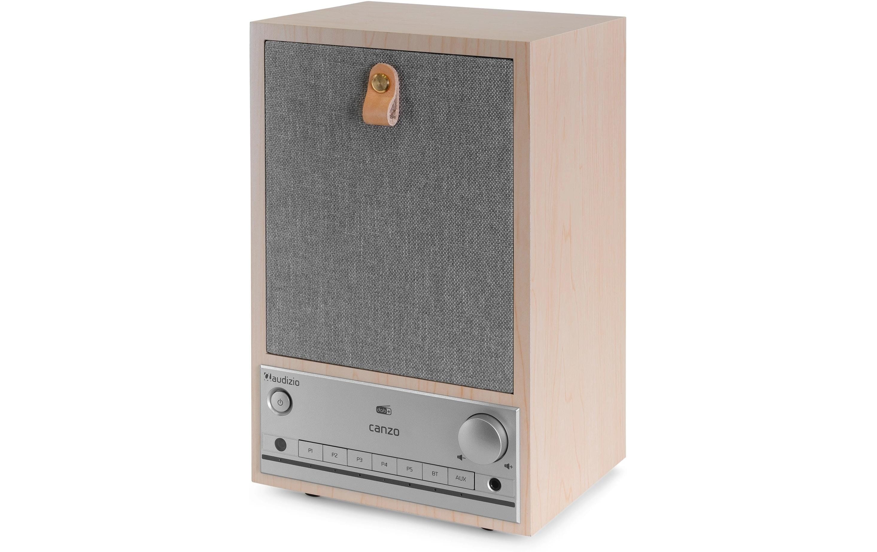 Audizio CanzoLW