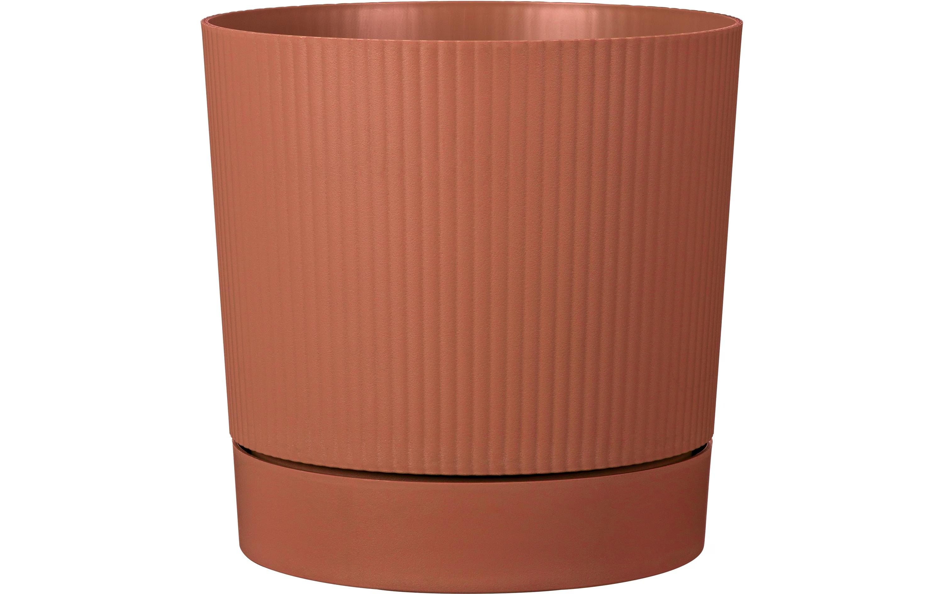 Scheurich LINO+