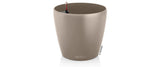 CLASSICO Color 21