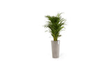 Ecopots Amsterdam High