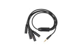 Shelly Splitter 1 zu 5- 3,5 mm Jack