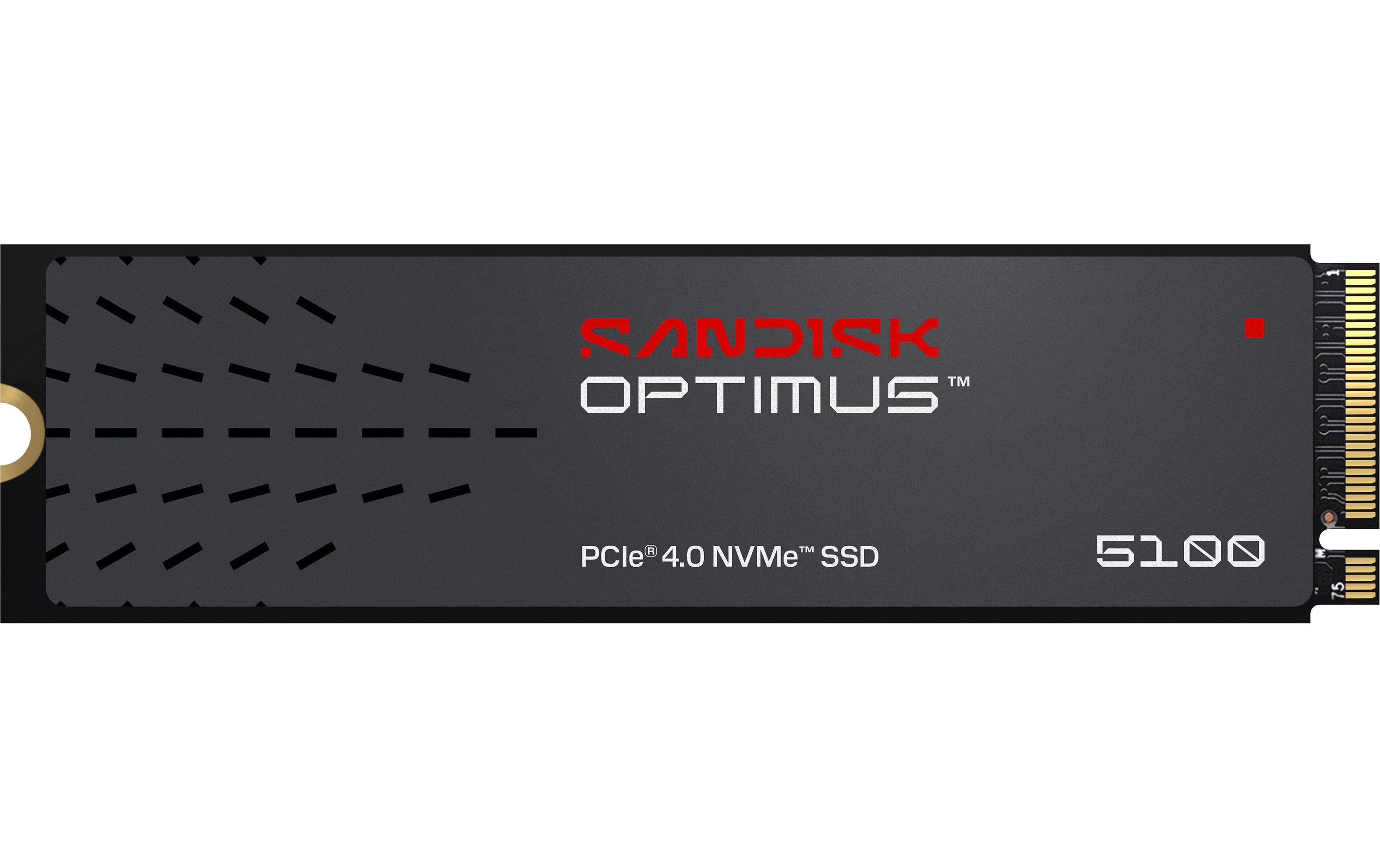 SanDisk Optimus 5100 1TB