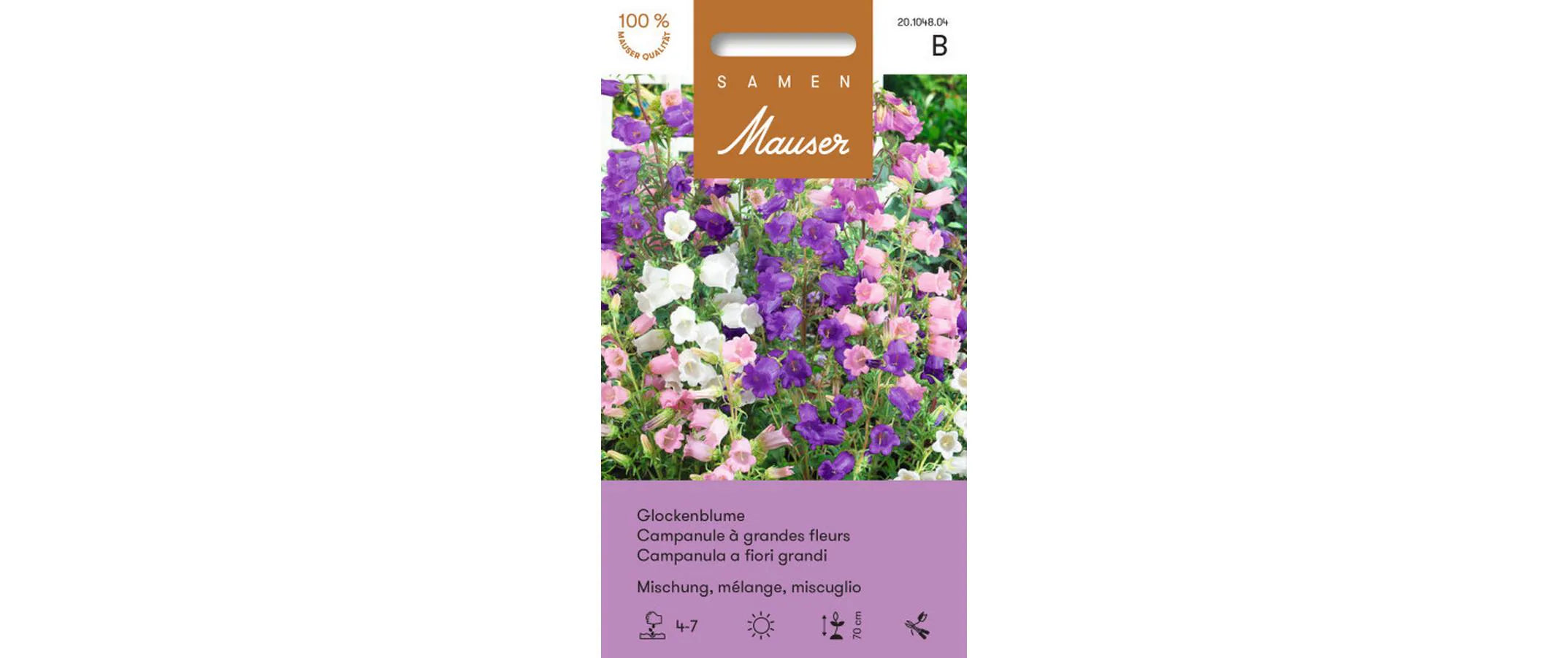 Glockenblume grossblumige Mischung