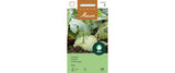 Kohlrabi Logo