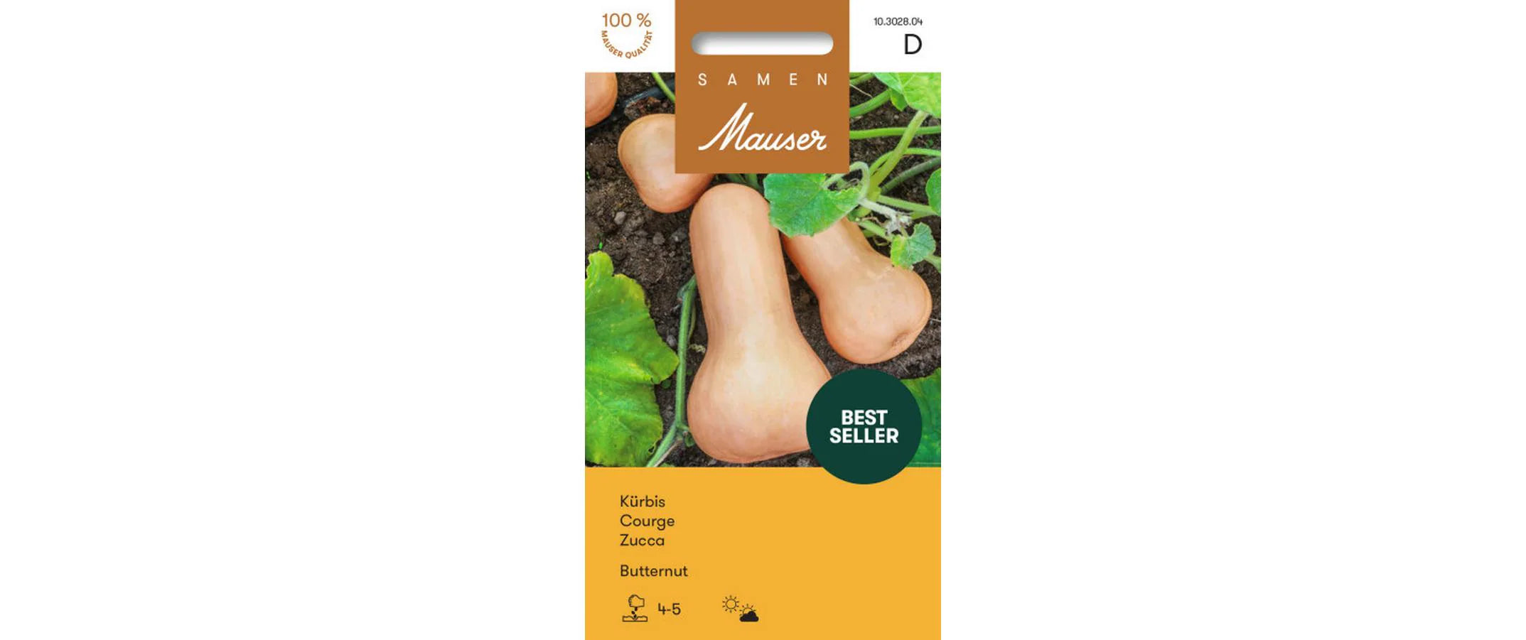 Kürbis Butternut