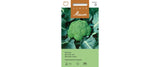 Broccoli Geba Stamm Coastal